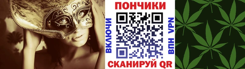 Сколько стоит Новоалександровск МАРИХУАНА  КОКАИН  Псилоцибиновые грибы  АМФЕТАМИН  Меф  KRAKEN зеркало  ГАШ 