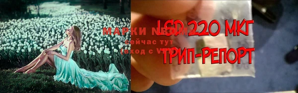 ECSTASY Липки