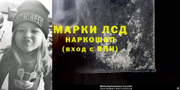 ECSTASY Липки