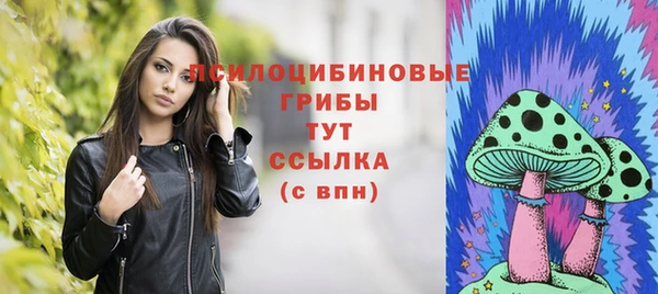 ECSTASY Липки