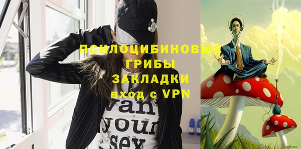 индика Лиски