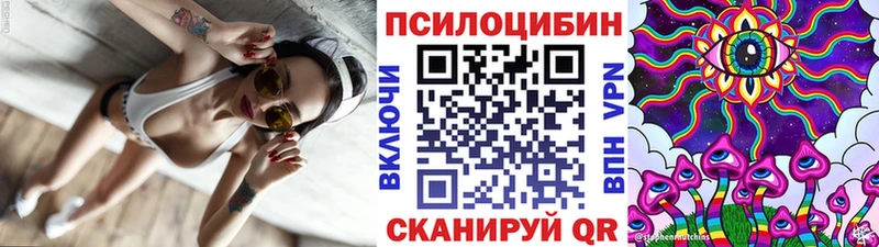 дарнет шоп  Новоалександровск  Галлюциногенные грибы Cubensis 